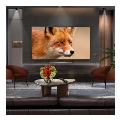 LG OLED55C56LB.AEK OLED evo AI C5 55" 4K Smart TV