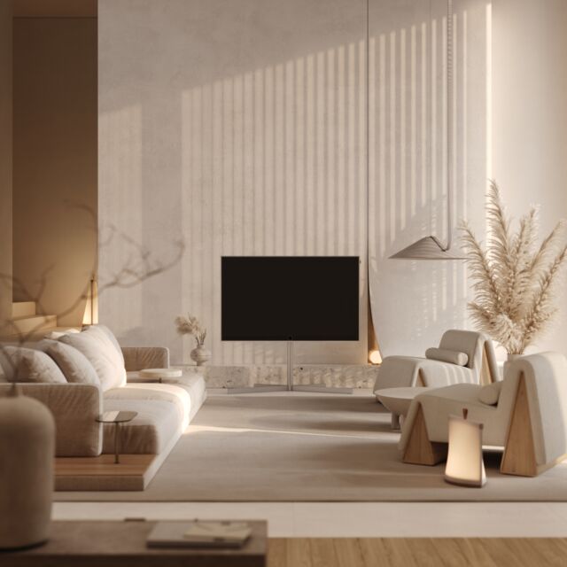 Loewe Stellar 48inch OLED Premium Television
