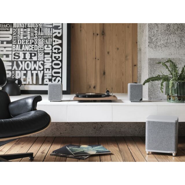 RUARK AUDIO RS1 Grey Subwoofer